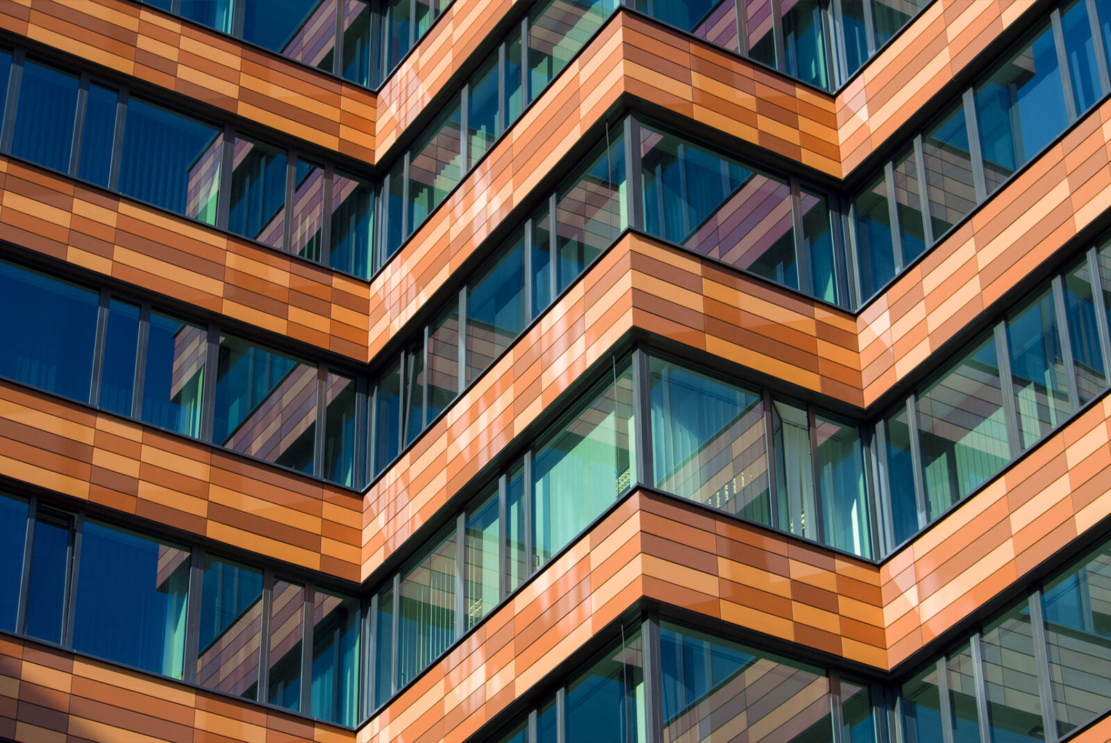 Areas of Focus Warburg Pincus