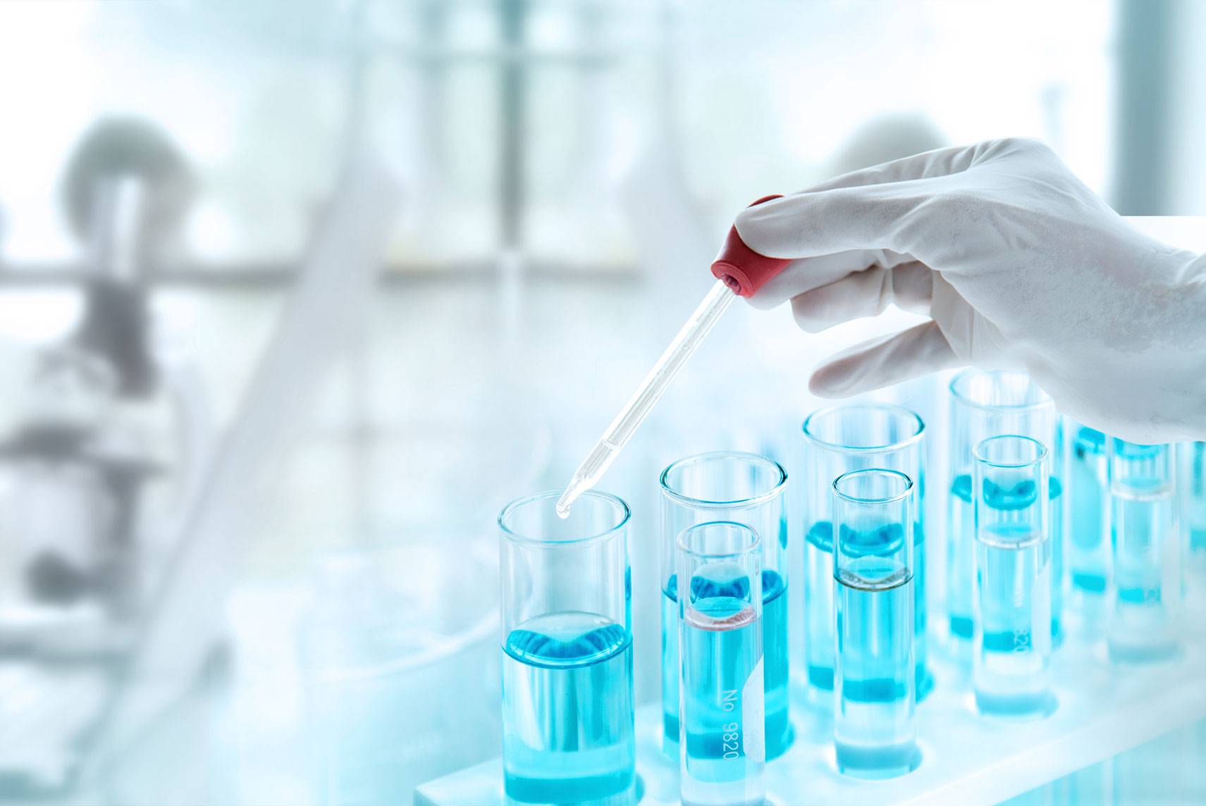 Areas of Focus Warburg Pincus